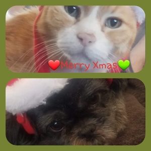 Meet your Posher, Anna marie